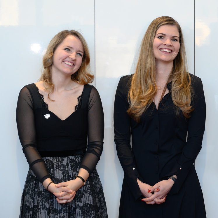 Landeswappenverleihung